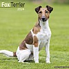 Fox Terrier Calendar